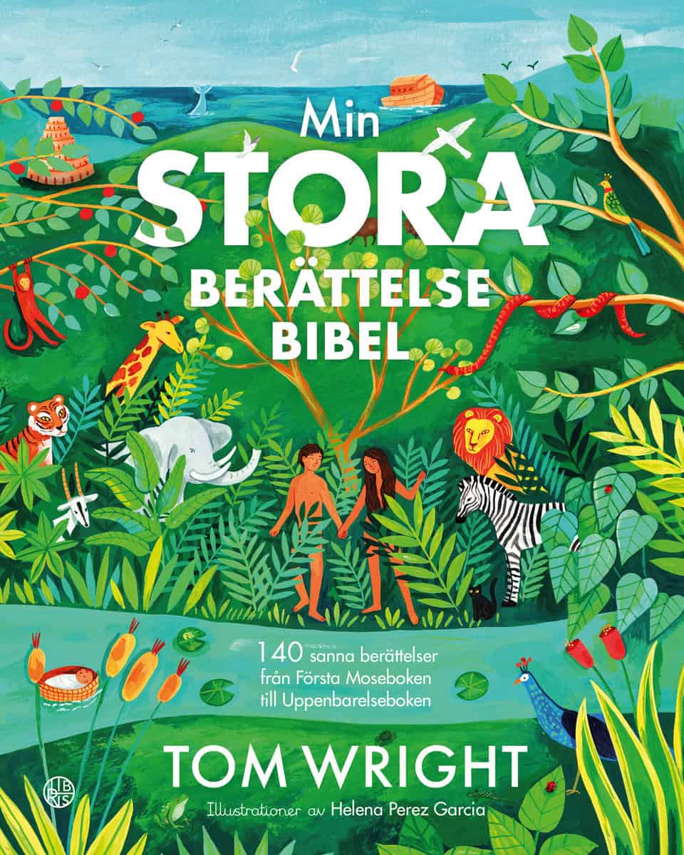 Tom Wright | MIN STORA BERÄTTELSEBIBEL