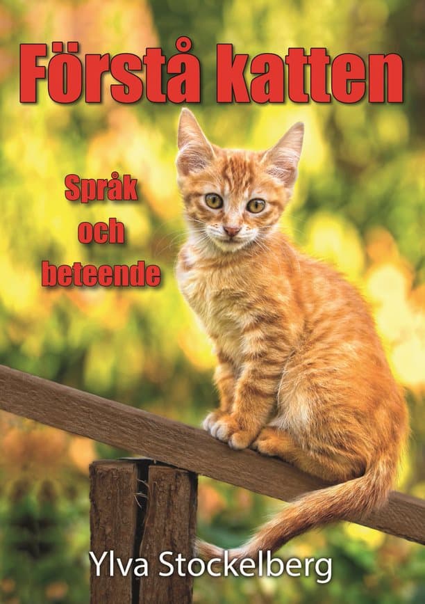 Miniatyrbild 1