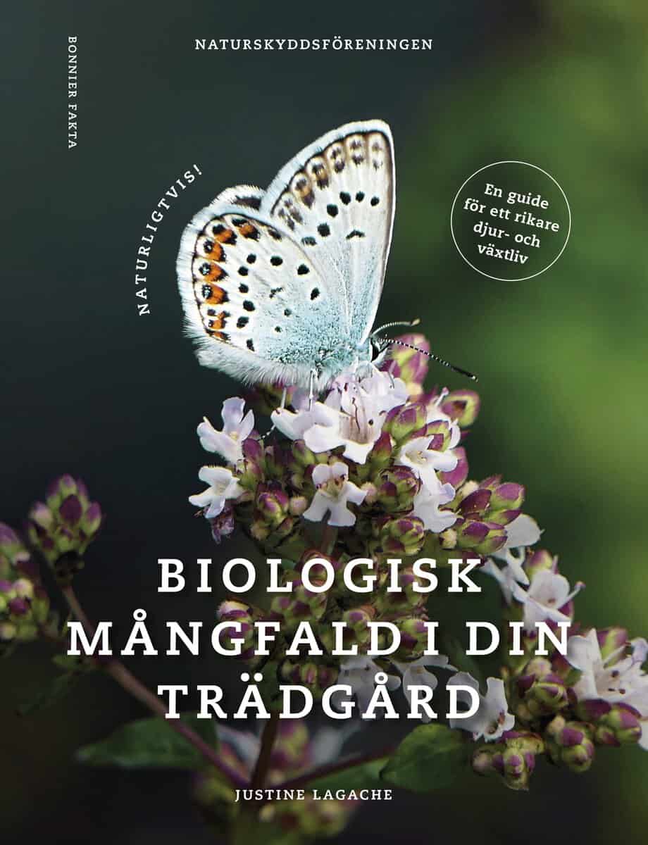 Miniatyrbild 1