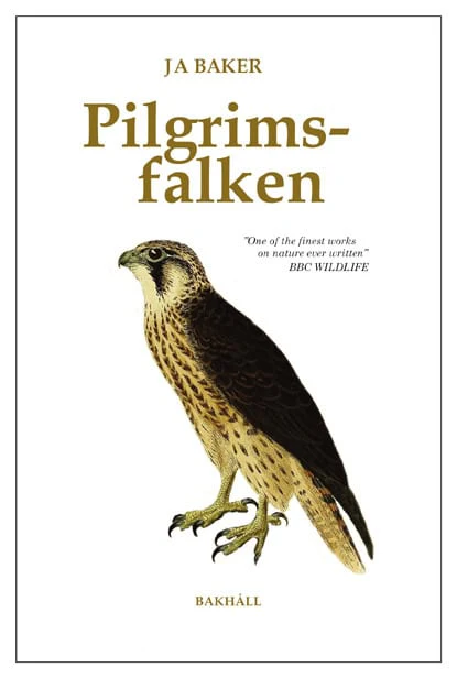 Miniatyrbild 1