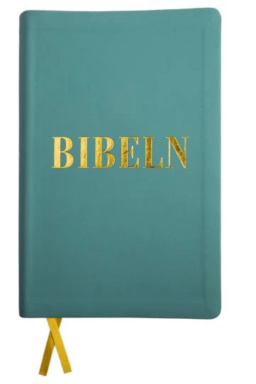 Beverhjelm, Fredrik ; Bonnevier, Rickard | KONFIRMANDBIBELN 3.0