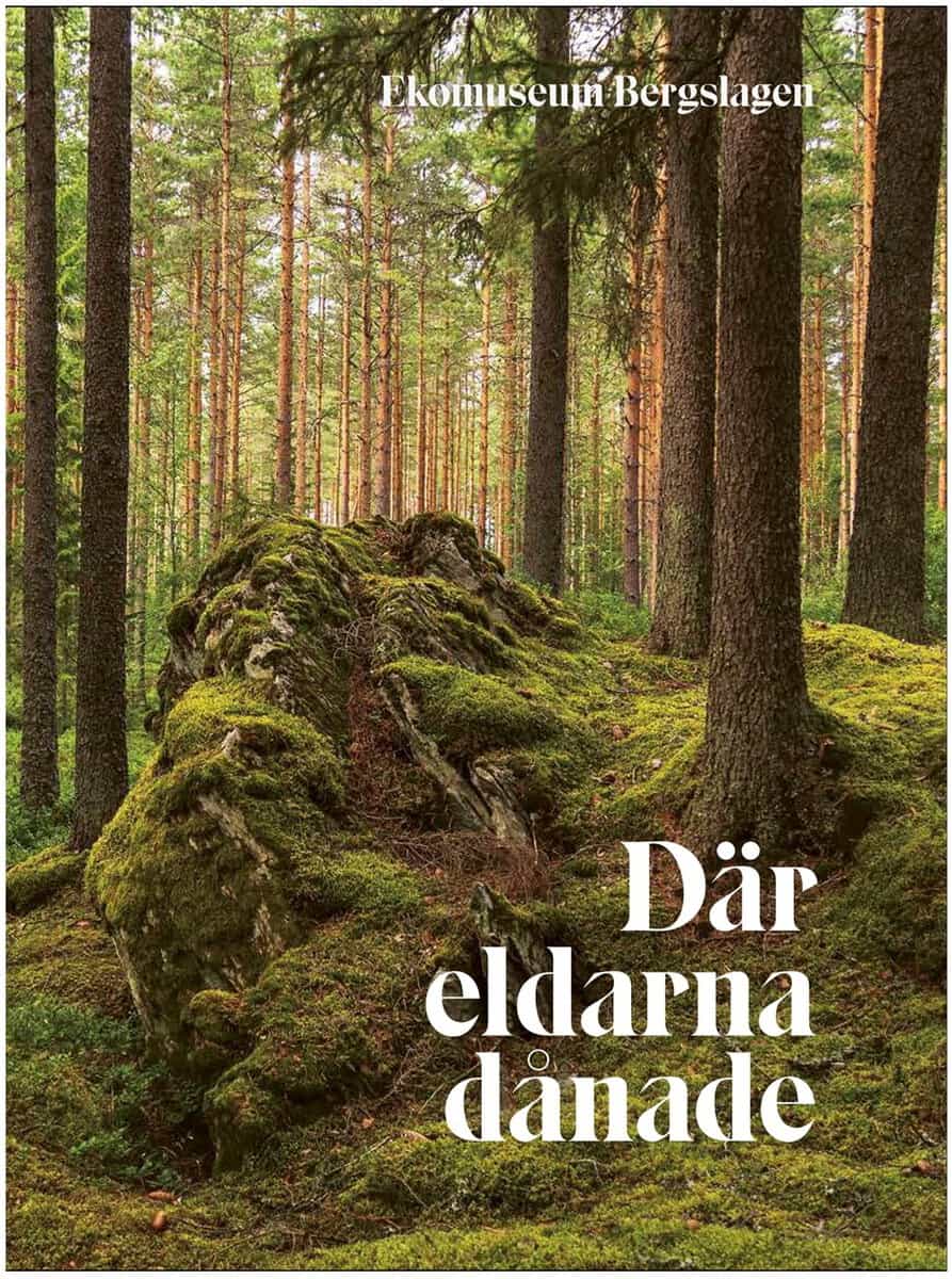 Bisse Falk | DÄR ELDARNA DÅNADE