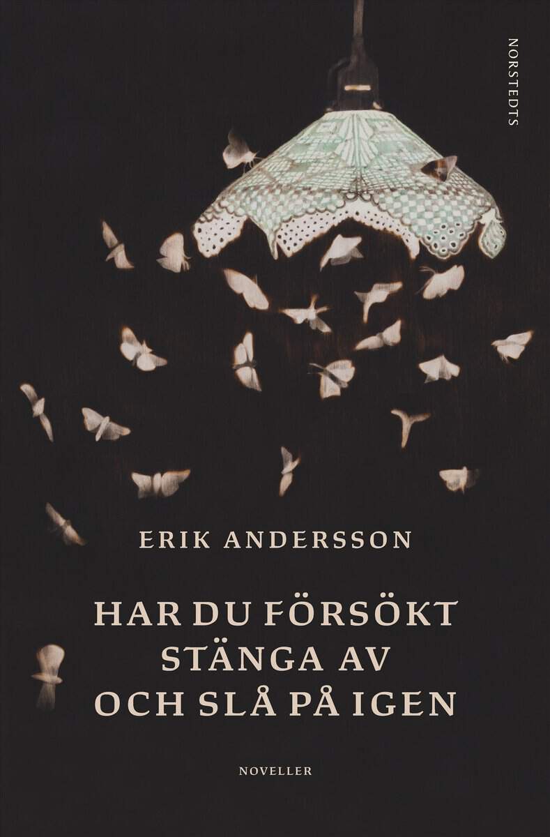 Erik Andersson | HAR DU FÖRSÖKT STÄNGA AV OCH SLÅ PÅ IGEN : Noveller
