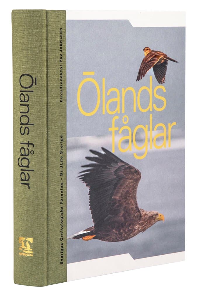 Pav Johnsson | ÖLANDS FÅGLAR