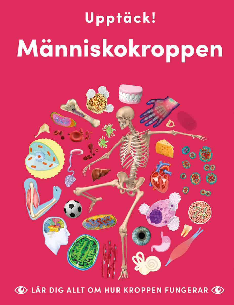 Caroline Stamps | UPPTÄCK MÄNNISKOKROPPEN : Lär dig allt om hur kroppen fungerar
