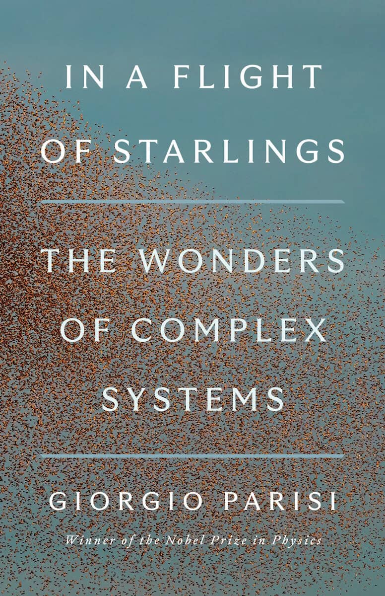 Giorgio Parisi | IN A FLIGHT OF STARLINGS