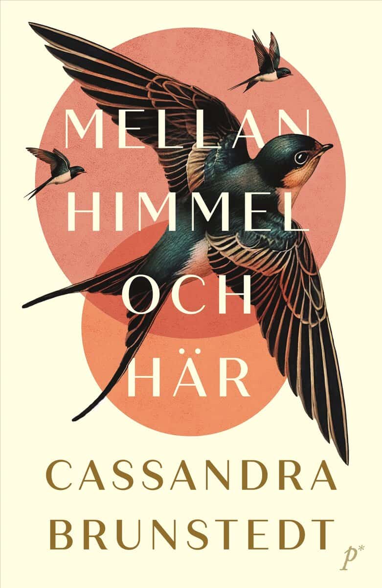 Cassandra Brunstedt | MELLAN HIMMEL OCH HÄR