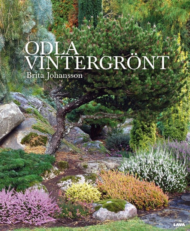 Brita Johansson | ODLA VINTERGRÖNT