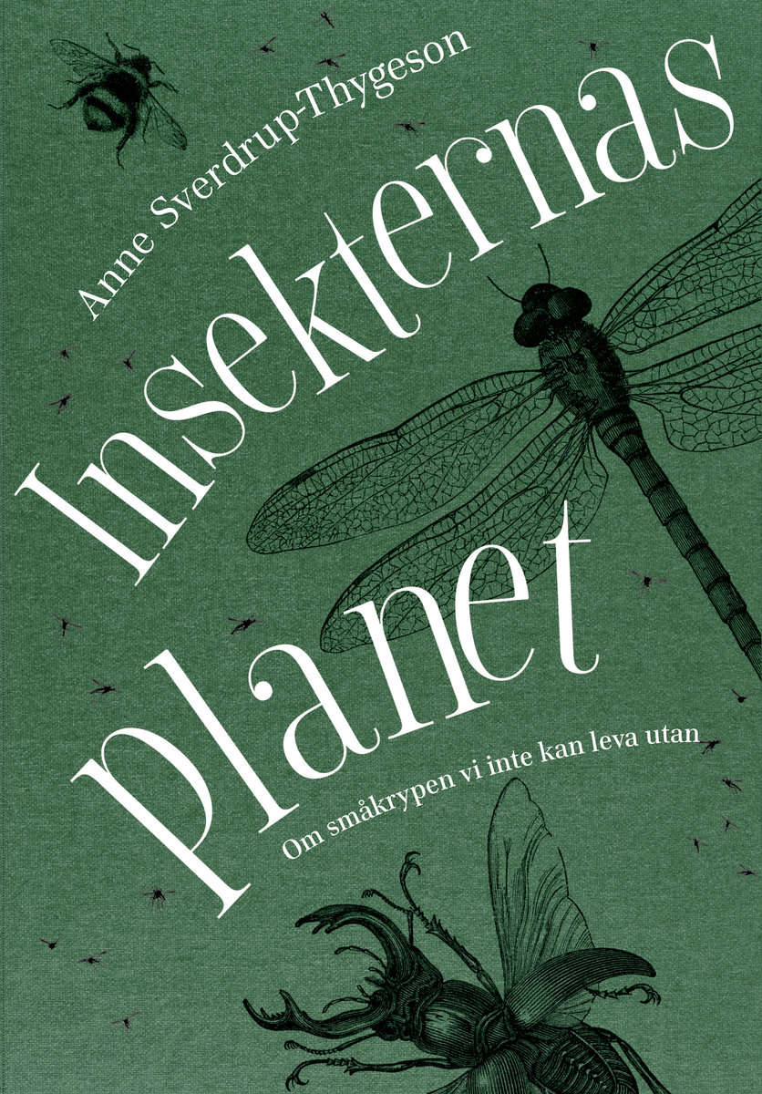 Anne Sverdrup-Thygeson | INSEKTERNAS PLANET : OM SMÅKRYPEN VI INTE KAN LEVA UTAN : Om småkrypen vi inte kan leva utan
