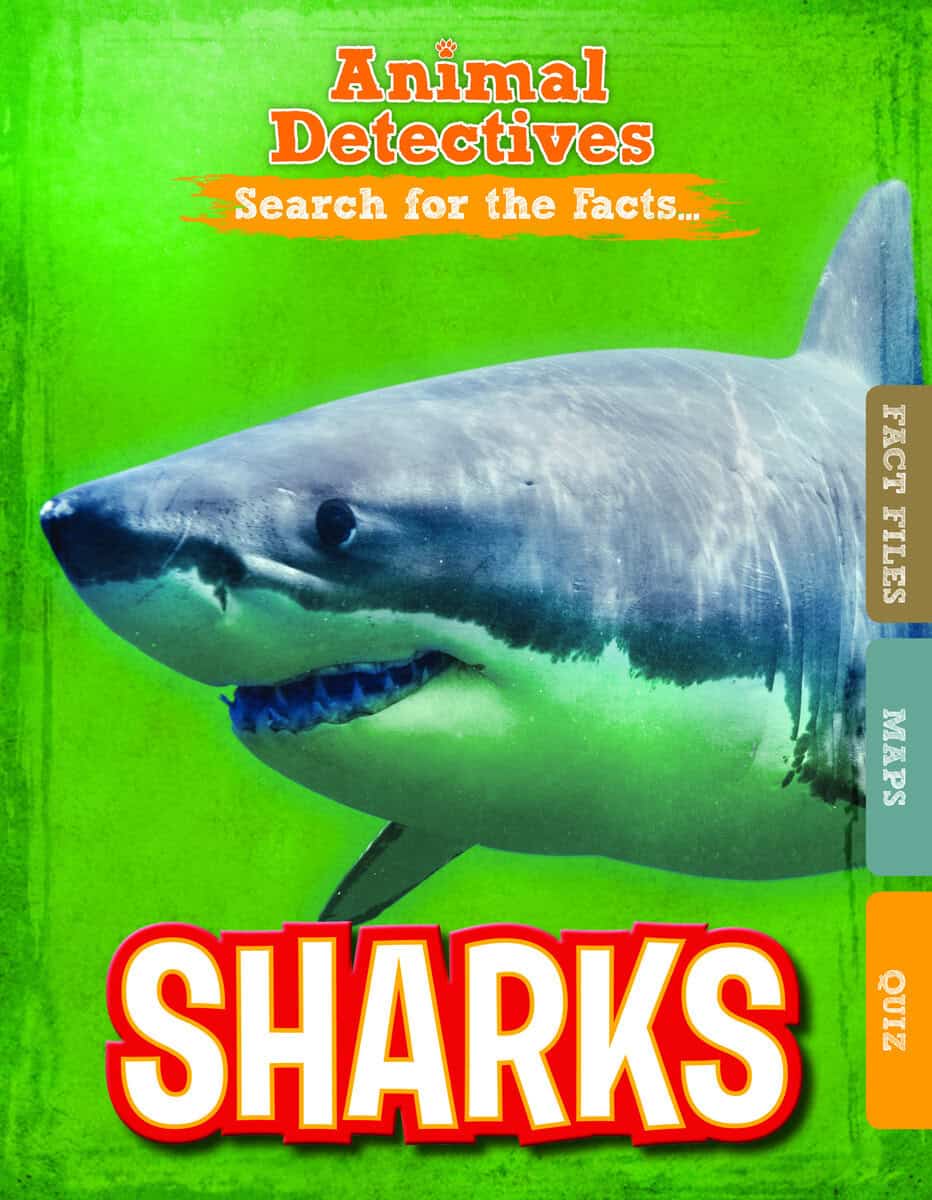 Anne O'Daly | SHARKS