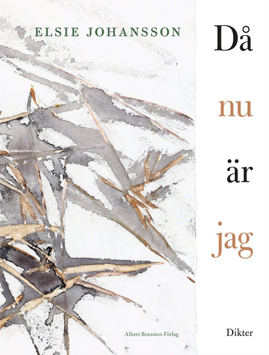 Elsie Johansson | DÅ NU ÄR JAG