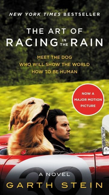 Garth Stein | THE ART OF RACING IN THE RAIN MTI