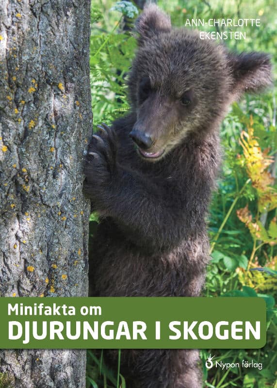 Miniatyrbild 1