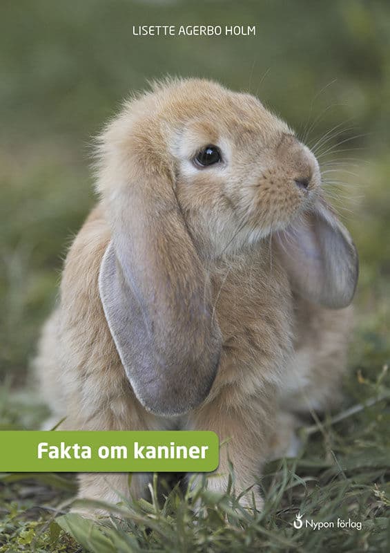 Lisette Agerbo Holm | FAKTA OM KANINER