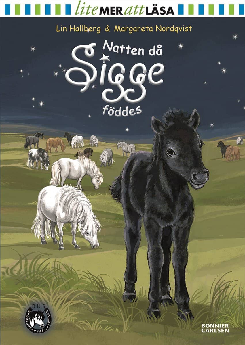 Lin Hallberg | NATTEN DÅ SIGGE FÖDDES