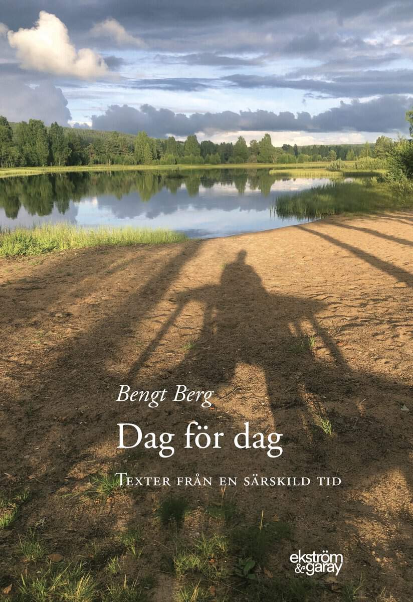 Bengt Berg | DAG FÖR DAG : Texter från en särskild tid