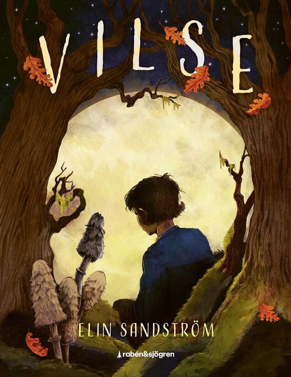 Elin Sandström | VILSE