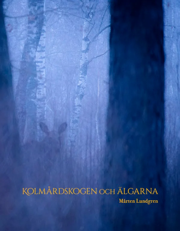 Mårten Lundgren | KOLMÅRDSSKOGEN OCH ÄLGARNA